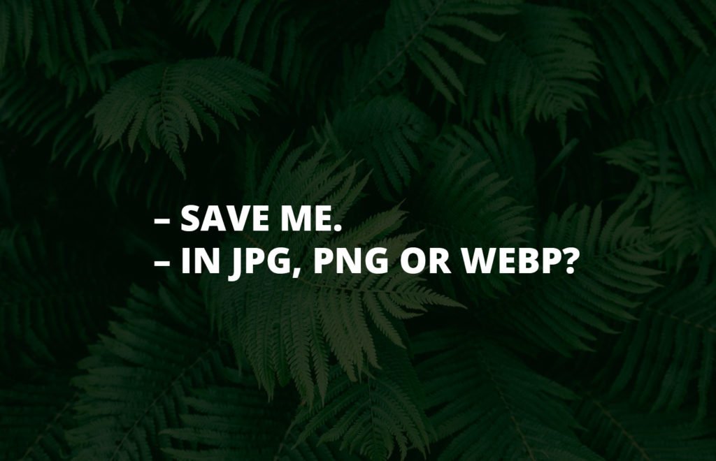 Jpg, png vai webp? Missä muodossa kuva kannattaa tallentaa kotisivuille